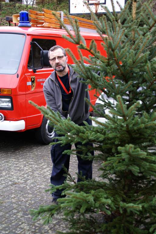 Weihnachtsbaumverkauf 2008 Bild Nr.006